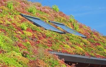 Great Doward living roof systems